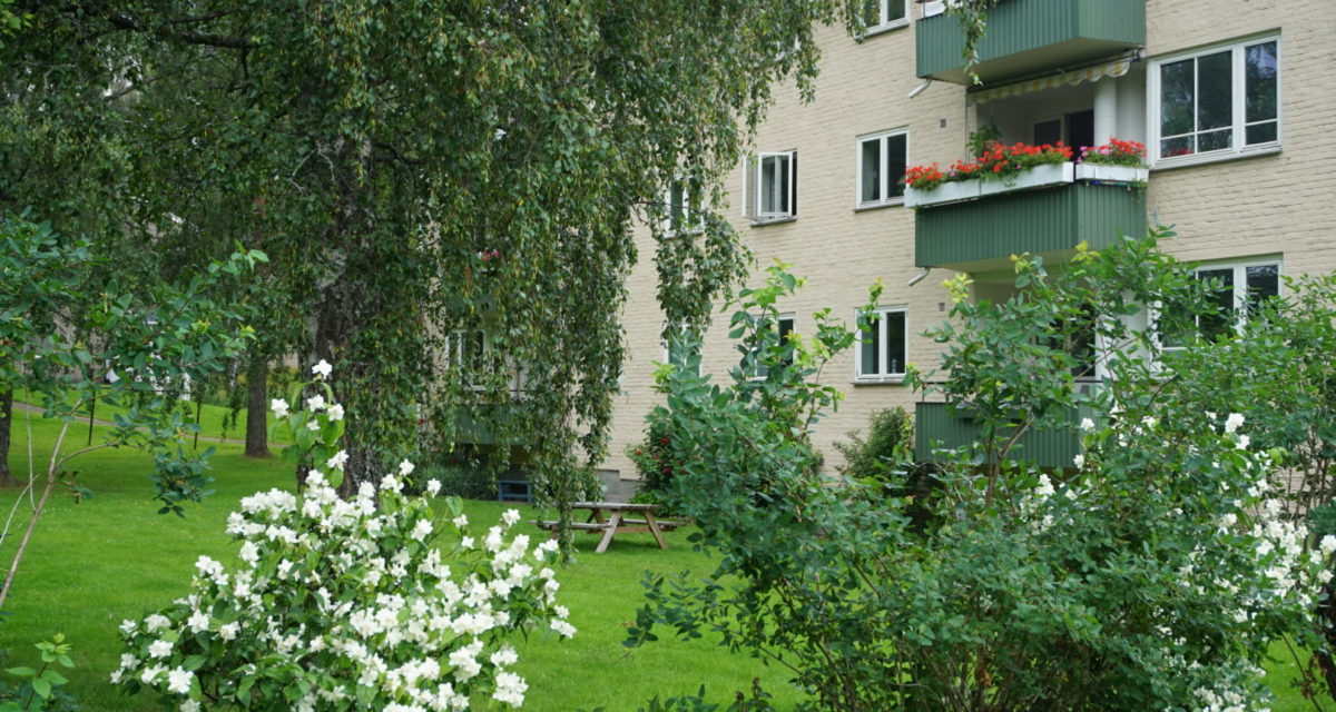 Vestre Holmen sameiets hjemmeside