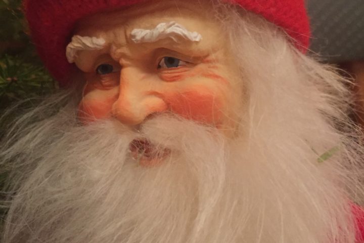 Henting av juletrær